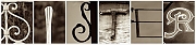 Wall_Art_Alphabet_Photography_Art_ 2104